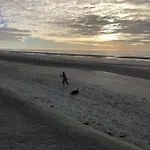 Fernley De Panne