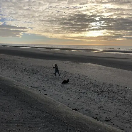Fernley De Panne
